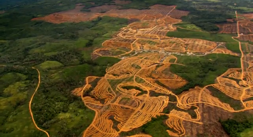 Ile de Bornéo. La vaste forêt primaire qui couvrait l'île il y a 20 ans est menacée d'extinction sous 10 ans par les exploitants de palmiers à huile, culture dediée à l'exportation pour les industries alimentaire et agroenergétique occidentales. HOME © Yann Arthus Bertand